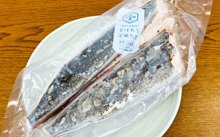 【とけたらとれたて】 ハガツオ（下処理・瞬間冷凍済） 生・炙り食べ比べセット計600g以上（各300g 2パック） 鰹 かつお [DBY013]