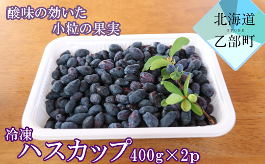 北海道の冷凍果実ハスカップ 天然の甘酸っぱさをそのままお届け 【山科農園 冷凍ハスカップ：400ｇ×2パック】＜ 北海道 ハスカップ 摘み立て冷凍 手摘み 使い方色々 抗酸化 ミラクルフルーツ ＞