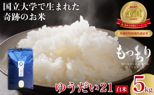 白米 5kg R7年産 ゆうだい21 食味コンクール最高賞 品評会を席巻した奇跡のお米 | 米 ゆうだい21 常陸の瞳 ブランド米 宇都宮大学 GAP認証 森 ミネラル 水 最高賞 品評会 安全 安心 美味しい 米 粘り もちもち 食感 希少品種 冷めても おいしい 茨城県 常陸太田市