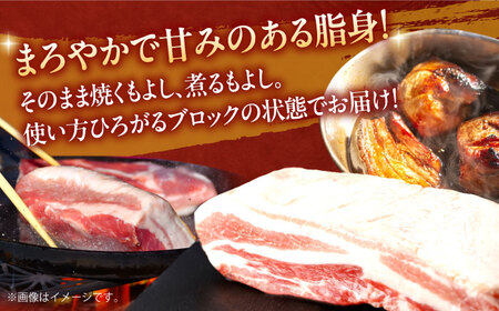 【3回定期便】肥前さくらポーク バラ肉 ブロック 総計4.5kg【一ノ瀬畜産】[NAC616]