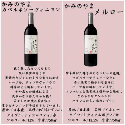 ふるさと納税 山梨市 ワイン サントネージュワインが贈る おススメ 6本 セット |  | 02