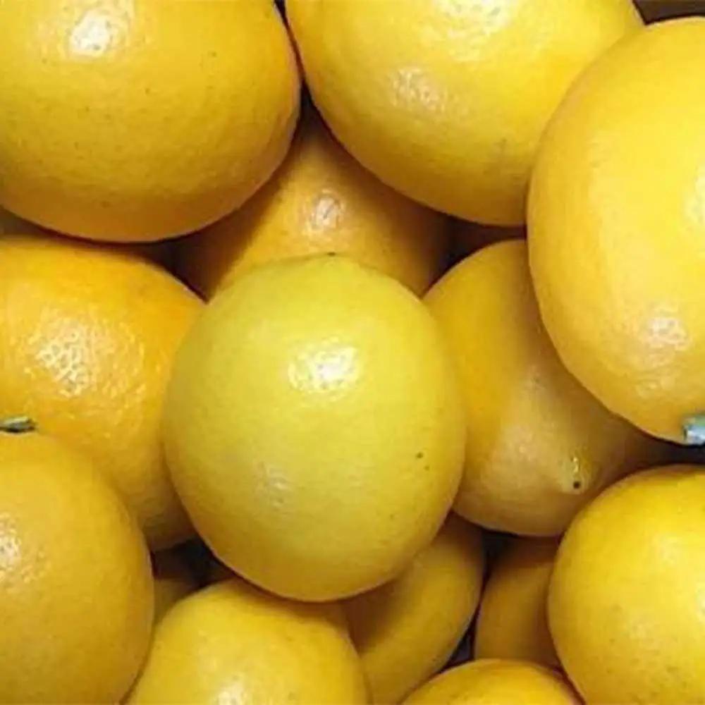 ［産地直送］和歌山県産 レモン 2kg サイズ混合 ［US43］