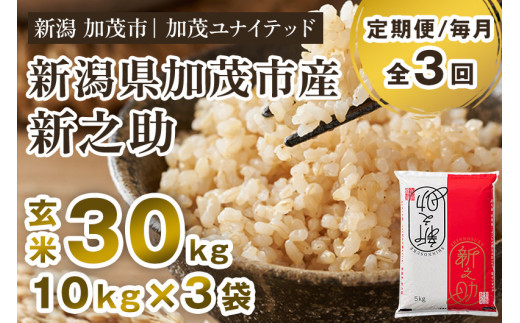 【令和7年産・令和8年産新米先行予約可】【定期便3ヶ月毎月お届け】新潟県産 新之助 玄米 30kg（10kg×3袋）《令和7年産：順次出荷・令和8年産新米：2026年10月から出荷》 新潟県産新之助 新潟産新之助 加茂市産新之助 新之助 しんのすけ 新潟 ブランド米 新之助 加茂市 加茂ユナイテッド