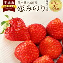 【ふるさと納税】【選べる容量】宇城市産 恋みのり イチゴ 約1kg 約1.5kg 約2kg 1パックあたり約250g いちご 苺 果物 くだもの フルーツ 冷蔵 九州 熊本県 宇城市 送料無料【2025年2月上旬から3月下旬発送予定】