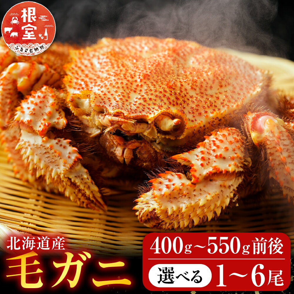 【ふるさと納税】【12月21日決済確定分まで年内配送】 毛かに 400g 前後 ~ 550g 前後 × 1 尾 ~ 6 尾 かに カニ 蟹 毛蟹 毛ガニ 毛がに けがに ケガニ お取り寄せ グルメ 海鮮 ボイル 茹で蟹 茹でがに 茹でガニ 北海道 根室市 ふるさと納税
