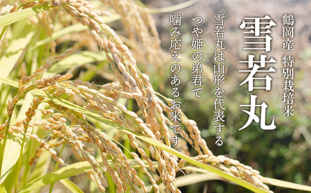 【令和7年産先行予約】 黒川まるいし農場の特別栽培米 雪若丸 2kg　山形県鶴岡市産　K-721