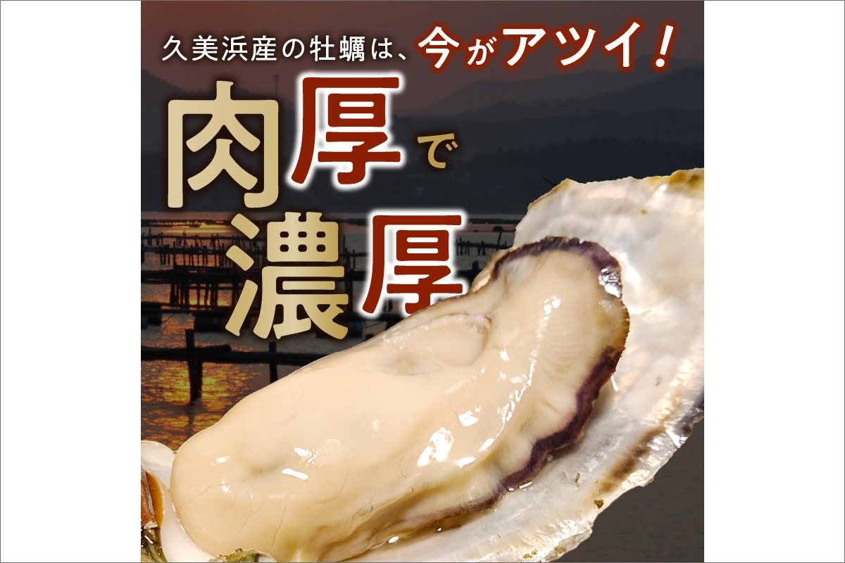 京都・久美浜産　殻付き牡蠣　5kg（50個前後）【加熱用】牡蠣ナイフ付　MN00053