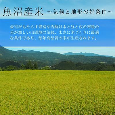 ふるさと納税 魚沼市 【毎月定期便】お米アドバイザー厳選!魚沼産コシヒカリ特別栽培米 精米計10kg(5kg×2)全2回 |  | 01