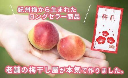 紀州梅札 14g×30袋 梅づくり100年「紀州ほそ川」の梅お菓子A-225