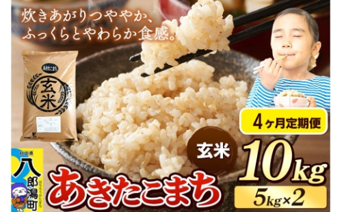 《令和8年産 新米》《定期便4ヶ月》米 あきたこまち 10kg（5kg×2袋）【玄米】秋田県産 [新米 米 コメ 玄米 あきたこまち おいしい 美味しい 安全 自然の恵み]
