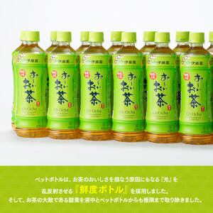 【3ヶ月定期便】伊藤園 おーいお茶 緑茶 600ml×48本 【 伊藤園 飲料類  飲みもの 緑茶  お茶 ペットボトル PET 備蓄 長期保存 送料無料 】