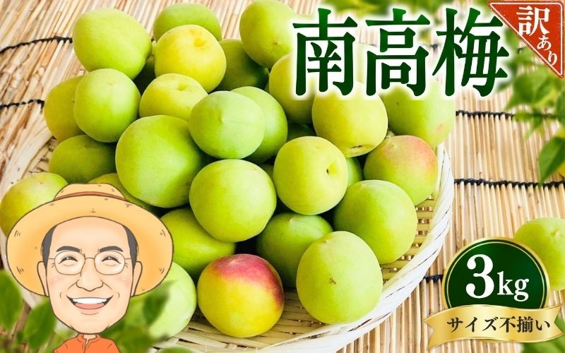 
                  【訳あり・ご家庭用】南高梅 青梅 約3kg (＋補償100g) サイズ不揃い カキエモン農園 【2027年6月上旬～6月中旬頃順次発送】 和歌山産 梅干し 梅酒 梅シロップ 果実 うめ 梅 ウメ カキエモン 農園 送料無料 なんこううめ なんこうばい なんこう梅 加工用 家庭用 紀州【BX-kkem012A】
                