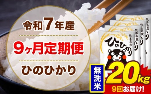 【9ヶ月定期便】米 令和7年産ひのひかり 無洗米 定期便 20kg 《お申込み翌月から出荷》熊本県 菊池市 国産 熊本県産 無洗米 精米 送料無料 ヒノヒカリ こめ お米