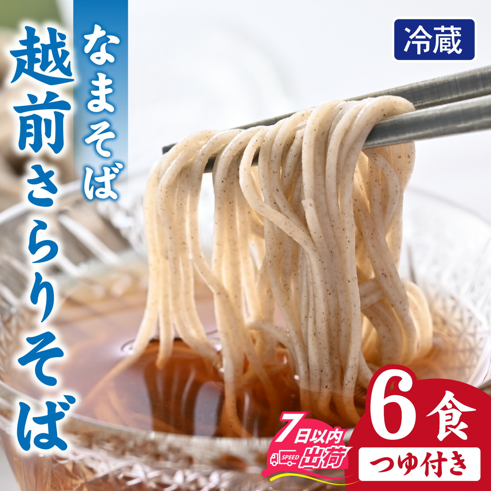 【ふるさと納税】越前さらりそば（なまそば）6食　そばつゆ付き / 越前そば そば 蕎麦 ソバ 冷蔵 送料無料 [A-146002]