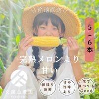 【ふるさと納税】＜2026年6月発送＞完熟メロンのように甘い朝採り!スイートコーン約5本　ちょっと食べてみたい方におすすめ!(約2kg) | 野菜 やさい 食品 人気 おすすめ 送料無料