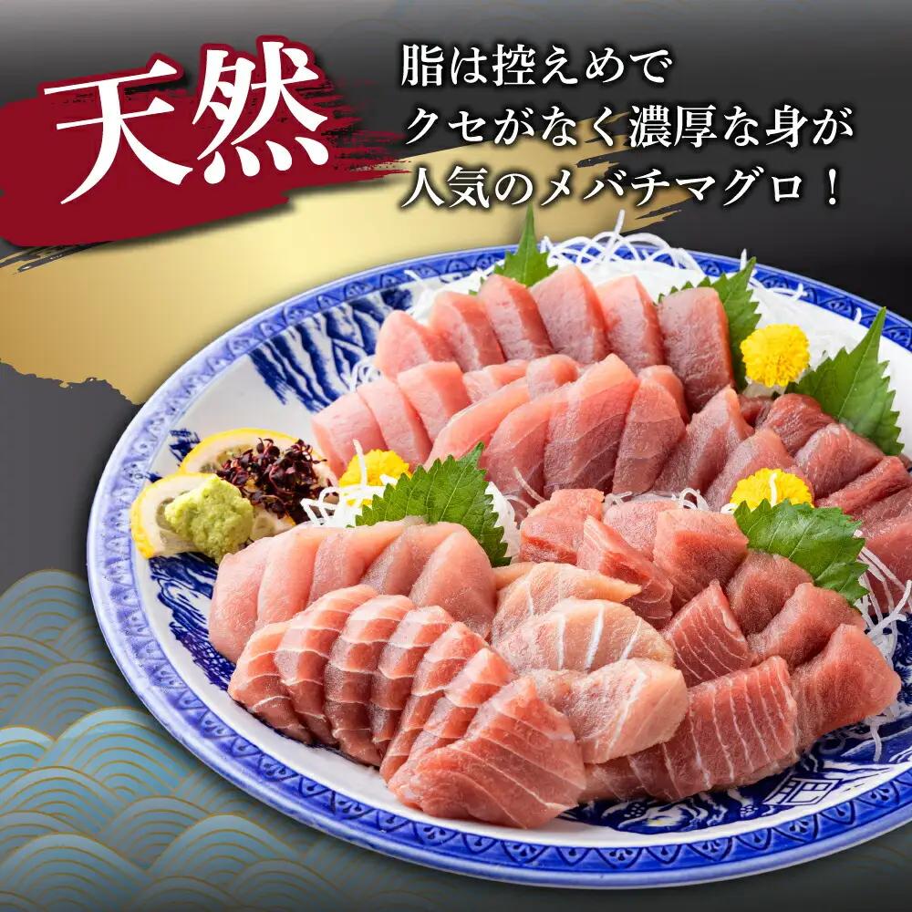 天然メバチマグロ 【 中トロ 】800ｇ（柵） メバチマグロ めばちまぐろ めばち メバチ まぐろ マグロ 鮪 サク 柵 中トロ 天然 天然まぐろ 天然マグロ 刺身 お刺身 食べ比べ 海鮮丼 丼 魚 