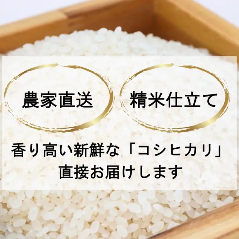 隔月5ヶ月定期便 令和8年 新潟県産 特別栽培米 新之助 5kg 5キロ（5回配送 計25kg）  10月配送開始 上越市 清里区 丸山農場 精米 限定 しんのすけ 送料無料