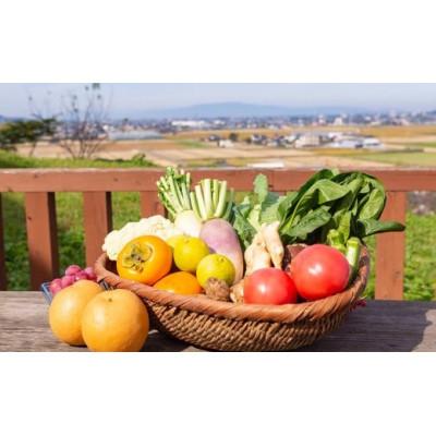 ふるさと納税 うきは市 これでもか!!ギフト(季節の果物・お野菜) U064-1VE-SEKG |  | 01