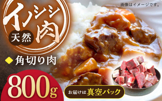 ジビエ 天然イノシシ肉 角切り肉 800g（カレー・シチュー）【照本食肉加工所】 [OAJ014] / 肉 猪 猪肉 イノシシ イノシシ肉 いのしし しし肉 しし鍋 ボタン鍋 ジビエ