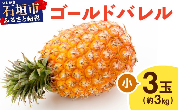 ≪5月上旬順次発送≫ゴールドバレル 小 3玉（約3kg） TP-15