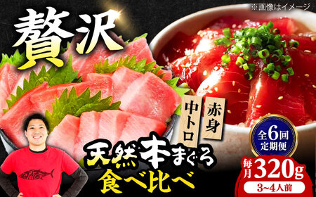 【全6回定期便】たね熟天然本まぐろ赤身＆中トロセット(320g 各160g)[AOCE041]マグロ
