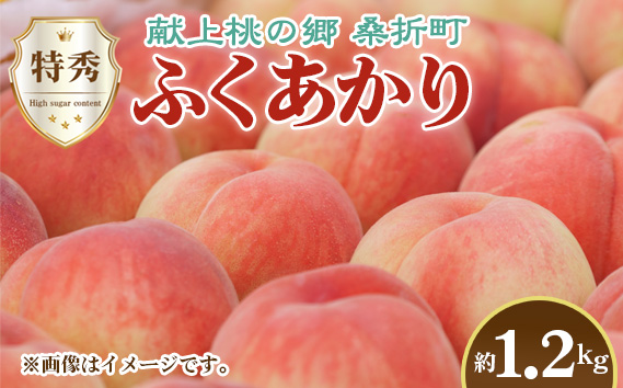 もも【ふくあかり・2026年産】特秀1.2kg　桑折町産　JAふくしま未来　桃