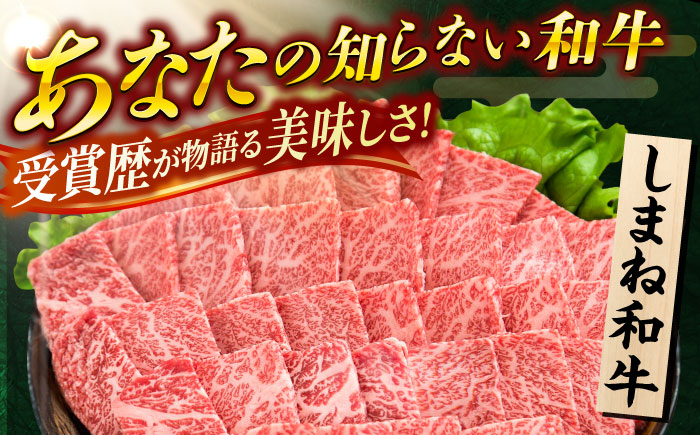 しまね和牛 切り落とし 1kg 和牛 牛肉 スライス / 島根県雲南市 / フジキコーポレーション株式会社 [AIEA001]