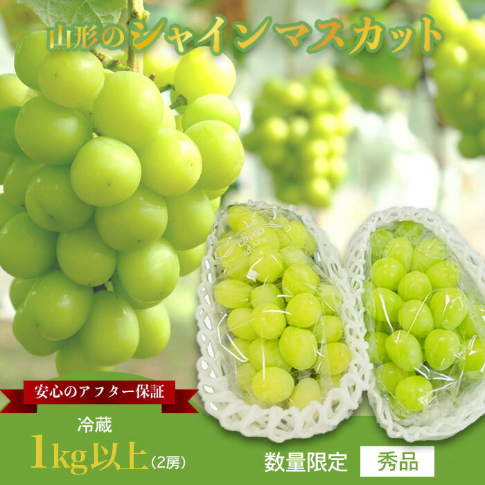 ＼高評価★4.7以上／ 約1.3kg 2房 山形 の シャインマスカット 人気 種なし 高級 ぶどう 【2024年9月～10月発送分先行受付】
