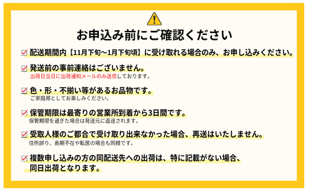 3V1 【冬】福岡産あまおう2パック