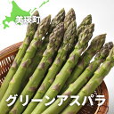 【ふるさと納税】【令和7年産予約受付！】グリーンアスパラ 1.5kg 2kg 野菜 送料無料 北海道　北海道美瑛　北海道美瑛町　美瑛　美瑛町 グリーンアスパラ グリーンアスパラガス アスパラ アスパラガス 美瑛産アスパラ　北海道産アスパラ　大雪山農園