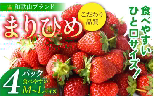 【先行予約】まりひめイチゴ4パック 食べやすいひと口サイズ M～L（15粒～20粒入×4パック）【2026年1月初旬～3月下旬頃に順次発送】（お届け日指定不可）/ いちご 苺 まりひめ 和歌山 フルー