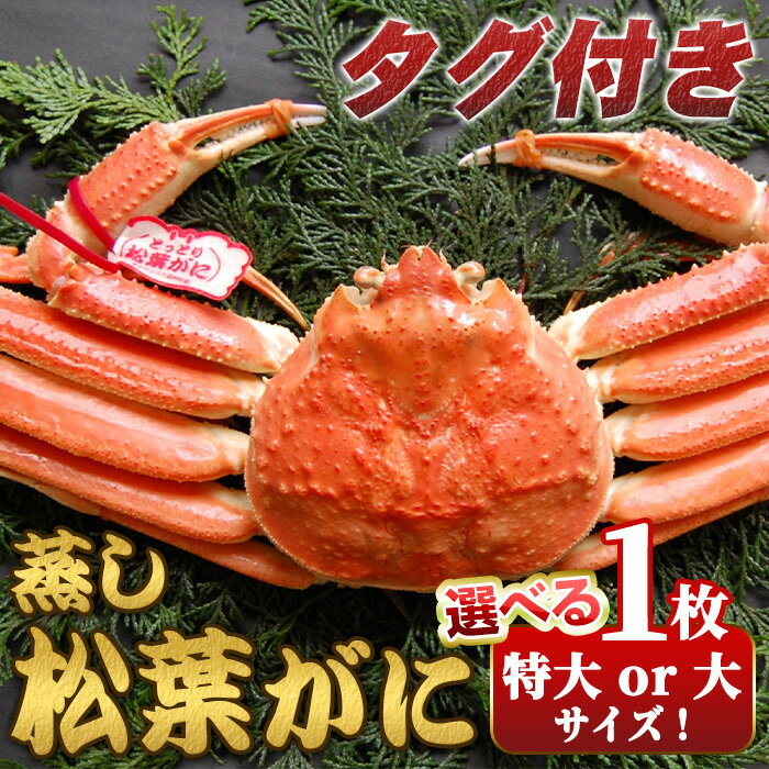 【ふるさと納税】＜選べる容量・11月中旬～2月下旬配送予定＞＜タグ付き＞鳥取県産蒸し松葉がに(大 / 特大1枚) 国産 魚介 海鮮 カニ かに 蟹 松葉ガニ 松葉蟹 ズワイガニ ずわいがに 冷蔵 コンシェルジュ 【sm-AM010】【モリイ食品】