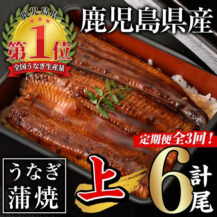 【 定期便 全3回 】うなぎ 無投薬 鹿児島県産  ＜上＞ (計840g以上・140g以上×2尾×3回) うなぎ【西日本養鰻】T26