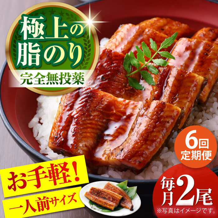 【ふるさと納税】【6回定期便】高知県産 うなぎ蒲焼き 約90g×2尾 タレ付き 【株式会社 四国健商】[ATAF147]