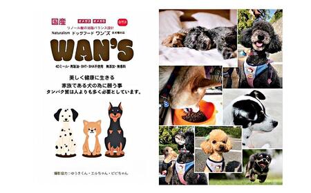 神戸生まれの 新鮮な無添加 ドライドッグフード 『WANS』2.3KG 3個セット