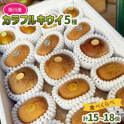 ふるさと納税 掛川市 掛川産 カラフルキウイ 5種・15個〜18個セット:キウイフルーツカントリーJapan　5887