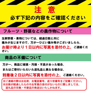 果物 しらぬい 3kg Lサイズ 12玉入り 先行予約 令和 7年産 1箱 不知火 柑橘 阿波市産
