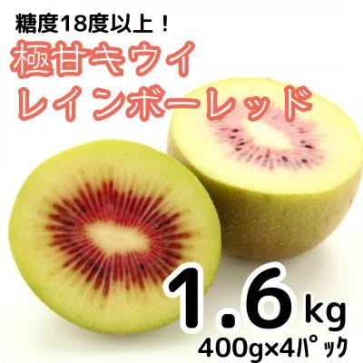 ふるさと納税 牧之原市 【先行受付】糖度18度!希少品種　極甘キウイ　レインボーレッド　400g×4パック