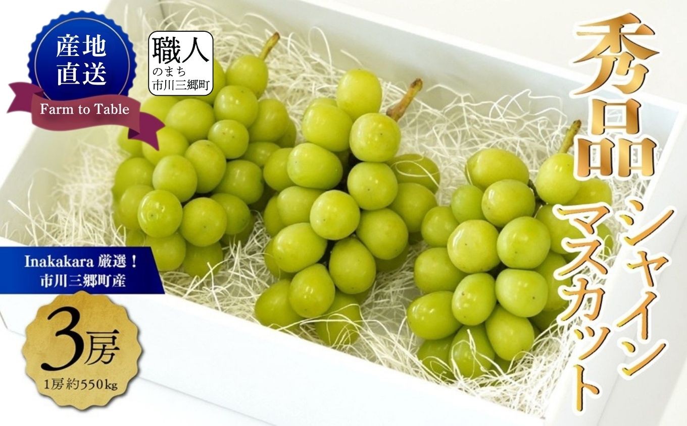 
                  ☆クール便発送☆ シャインマスカット 【2027年発送】秀品 山梨 3房 (1房約550g) Inakakara厳選 ｜ 人気 新鮮 産地直送 果物 くだもの フルーツ 甘い 糖度 シャイン マスカット 葡萄 ブドウ ぶどう 贈答 ギフト おやつ トッピング 山梨 市川三郷町 市川三郷 [5839-1979]
                