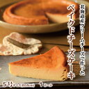 【ふるさと納税】13-223 Cafe ほの香のベイクドチーズケーキ(5号)