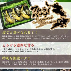 【訳あり】高知県産 侍バナナ｜無農薬・国産・農家直送 手のひらサイズ 7本  バナナフルーツ バナナ サムライ スムージー ふるさと納税