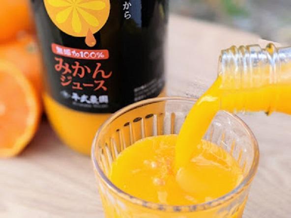 無添加100％みかんジュース2本セット【平武農園】～蛍飛ぶ町から旬の便り～ BX35_イメージ2