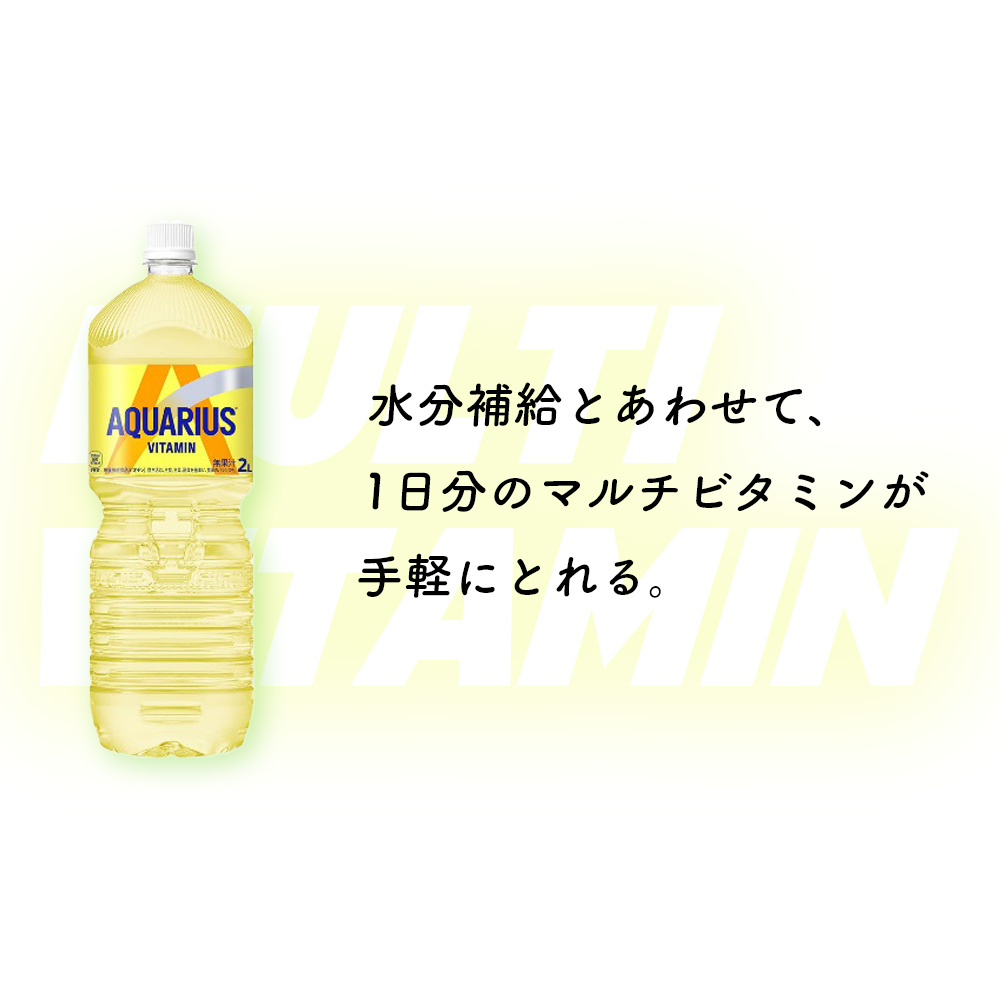 【6か月連続お届け】アクエリアス ビタミン　2L PET×6本　【04301-0681】_イメージ3