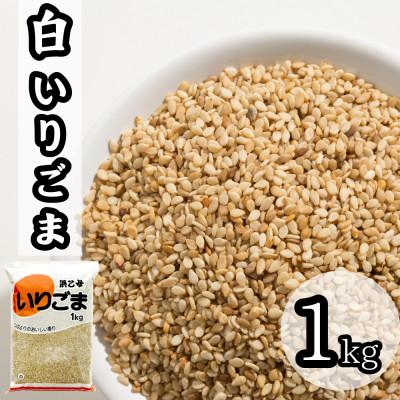 ふるさと納税 弥富市 白 いりごま 1kg 業務用