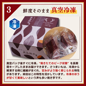 【焼き芋】 数量限定 訳あり 冷凍焼き芋 500g ×3袋「ひゃっこい 鹿島焼芋 純伯 1.5kg」 焼き芋