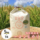 【ふるさと納税】令和6年新米『山田のややこ』特別栽培米コシヒカリ 精米 5kg＜茨城県共通返礼品・河内町産＞ | 茨城県 龍ケ崎市 令和6年産 新米 食味 特A お米 ご飯 コシヒカリ 特別栽培米 厳選米 産地直送 精米 おすすめ もっちり 冷めてもおいしい 1240250