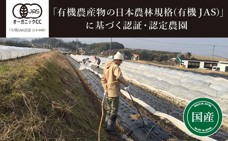 野菜 詰め合わせ 定期便 よしむら農園 オーガニックおまかせ野菜セット/2回定期便 野菜 詰め合わせ オーガニック おまかせ セット 一人暮らし 野菜炒め 無添加 旬 有機栽培 JAS 新鮮