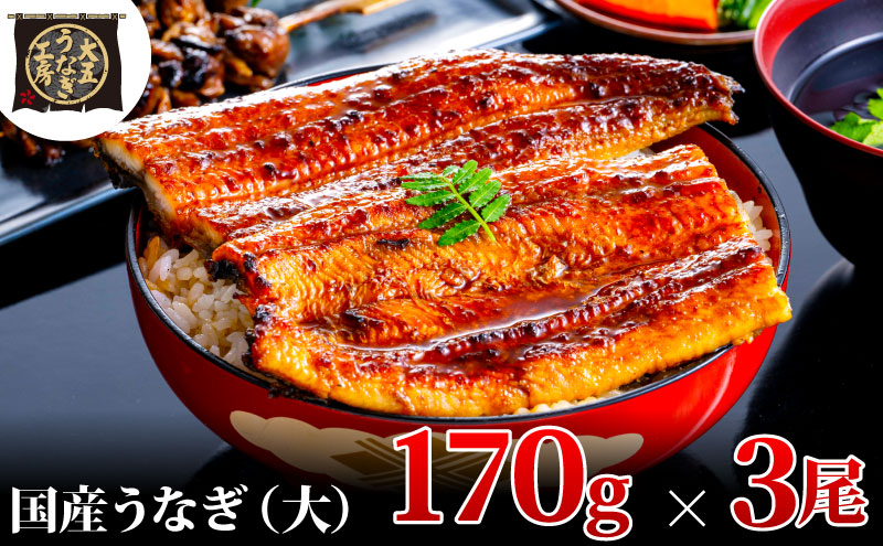 【期間限定9月30日までの特別価格！】うなぎ蒲焼 170g×3尾(510g) うなぎ ウナギ 鰻 蒲焼 蒲焼き冷凍 国産 大五 大五通商 静岡 島田市