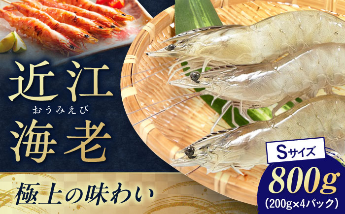 
            近江海老 Sサイズ 800g 滋賀県長浜市/ワボウ電子株式会社 [AQBA010] エビ 海老 えび 海鮮 魚介類 魚貝類 魚介 下処理不要 冷凍 業務用 小分け 国産 刺身 刺し身  近江海老 新鮮 直送 高級 名産 ぷりぷり 甘い 刺身 天ぷら 海鮮丼 鍋料理 海老しゃぶ 魚介 贈答用 人気 特産 料理素材 お取り寄せ 地元産 丸ごと
          