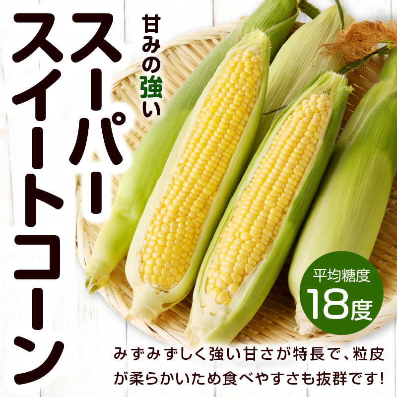 先行予約≪期間限定≫スーパースイートコーン＆枝豆(茶豆風味・茶豆)セット(合計4.5kg)_T003-001【旬 野菜 国産 人気 ギフト 食品 とうもろこし BBQ 贈り物 送料無料 プレゼント】